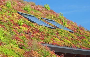 Hanslope living roof systems